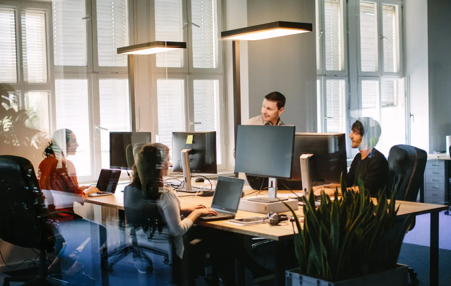 Website Development & B2B Data Services
